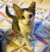 Billy