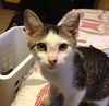 Billy