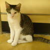 Billy
