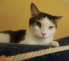 Billy