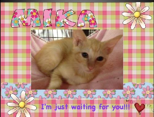 Mika