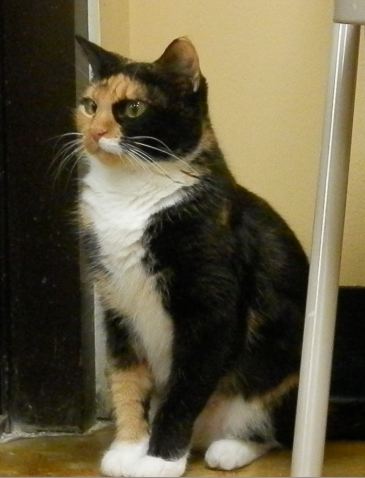 Penny Lane