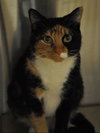 Penny Lane