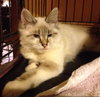 Linx
