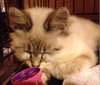 Linx