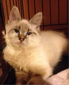 Linx