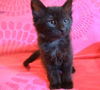 Onyx