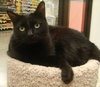 Suzy (previously Echo)