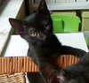 Mitsy