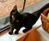 Mitsy
