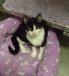 Minnie '08