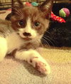 Hershey
