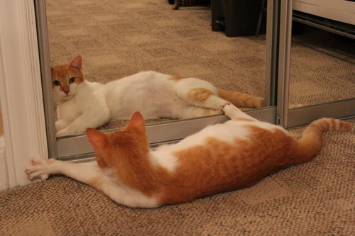 Loki (O&W)