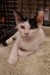 Mimi