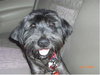 Brandy
