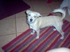 Buster