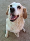 Spuds - - Photo 6
