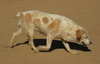 Spuds - - Photo 8