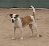 Penny- - Photo 6