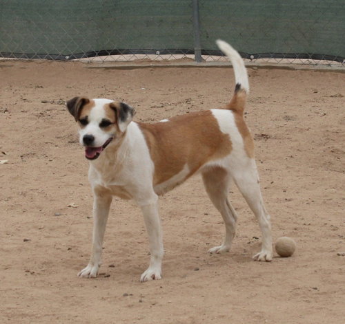 Penny- photo 6