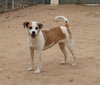 Penny- - Photo 8