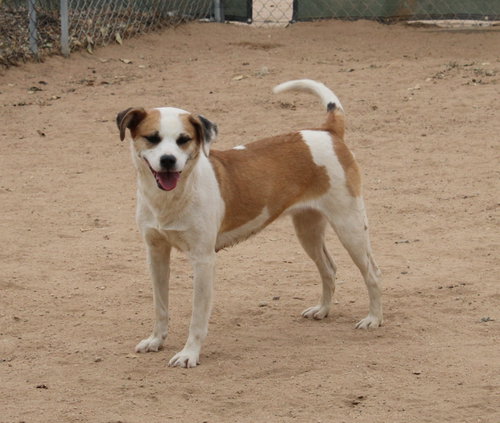 Penny- photo 8