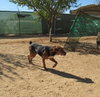 Laney - - Photo 7