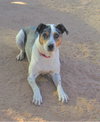 Bronson- ** - Photo 3
