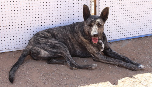 Cleo-Patra-got long term Foster! — thumbnail 12