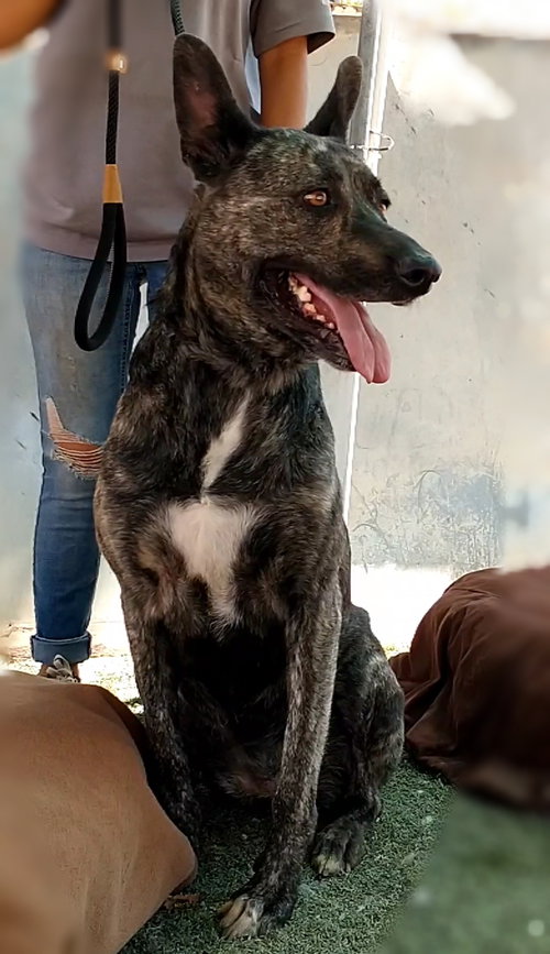 Cleo-Patra-got long term Foster! — thumbnail 6