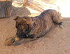 Bonnie- ** - Photo 8