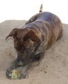 Bonnie- ** - Photo 6