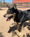 Hunter - Photo 18