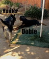 Hunter - Photo 20