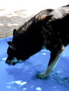 Hunter - Photo 22