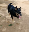 Hunter - Photo 4