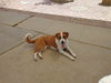 Cleo- ** - Photo 8