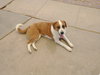 Cleo- ** - Photo 10