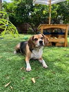 Louie-He's got a sponsor! - Photo 11