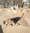 Louie-He's got a sponsor! - Photo 8