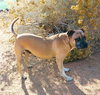 Diesel - - Photo 4