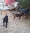 ET - Photo 9