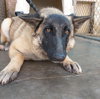 Lily - Photo 5