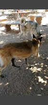 Lily - Photo 7