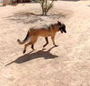 Lily - Photo 10