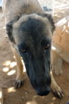 Lily - Photo 11