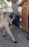 Lily - Photo 13