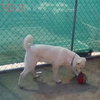 Harry Pawter of the Hogwarts family - Photo 8