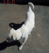 Harry Pawter of the Hogwarts family - Photo 9