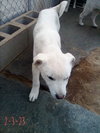 Harry Pawter of the Hogwarts family - Photo 12